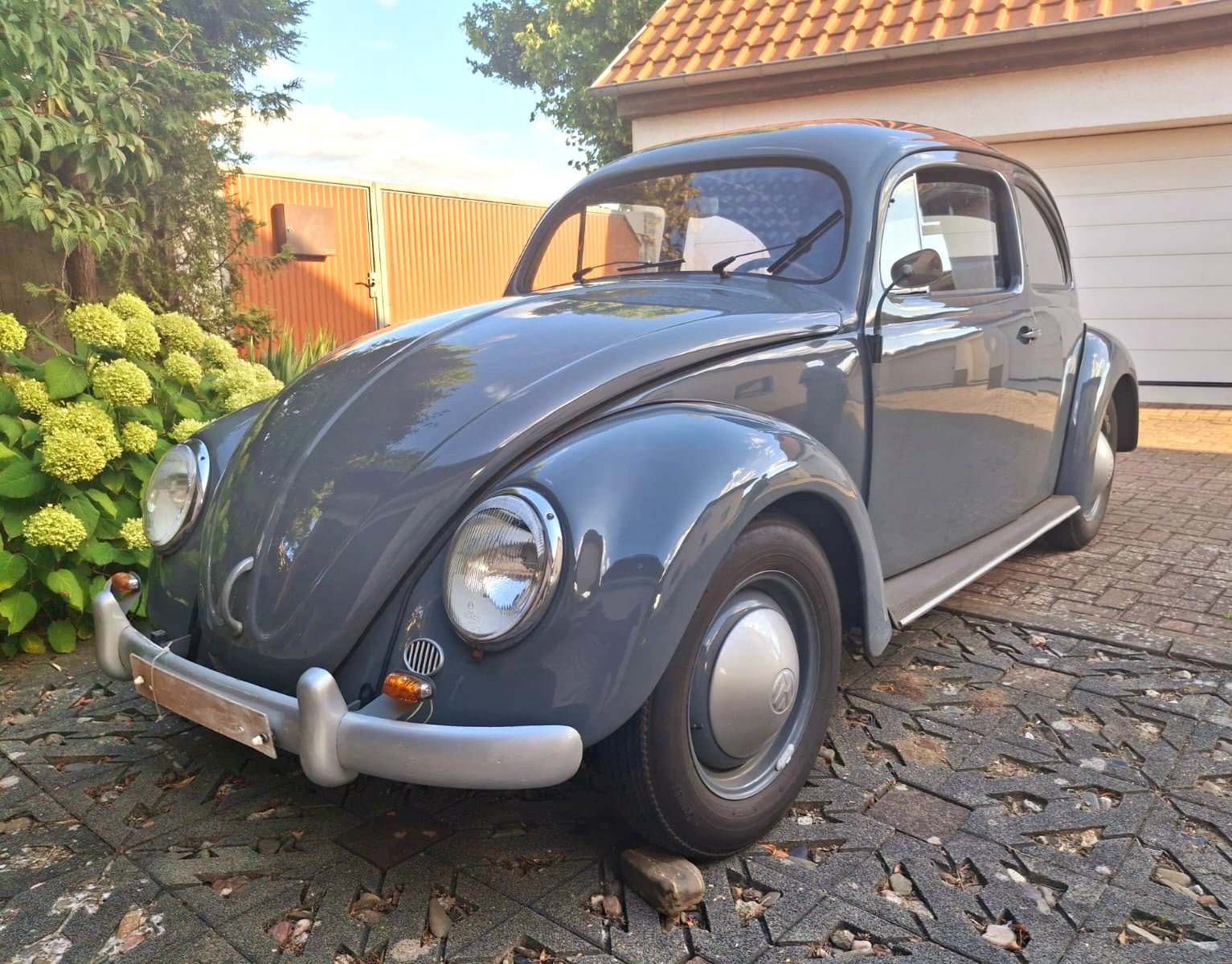 Zu verkaufen: Standard-Ovali Bj. 54 - Peter Ebeling Ersatzteile