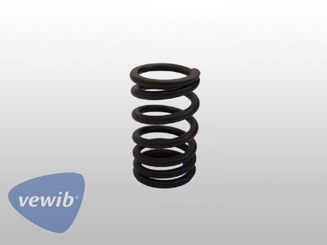 Ventilfeder, ab 40 PS - Peter Ebeling Ersatzteile